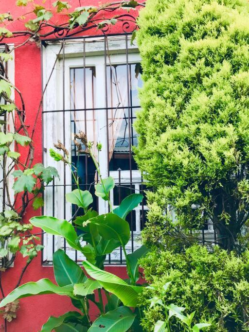 Casa I'X Apartment San Juan La Laguna Bagian luar foto
