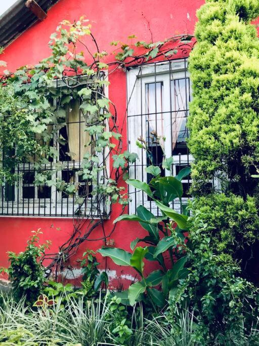 Casa I'X Apartment San Juan La Laguna Bagian luar foto